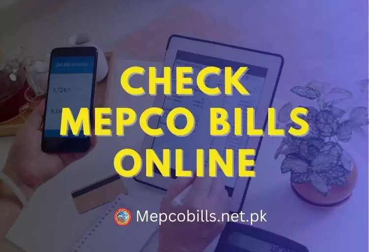 How To Check Electricity Bills Online