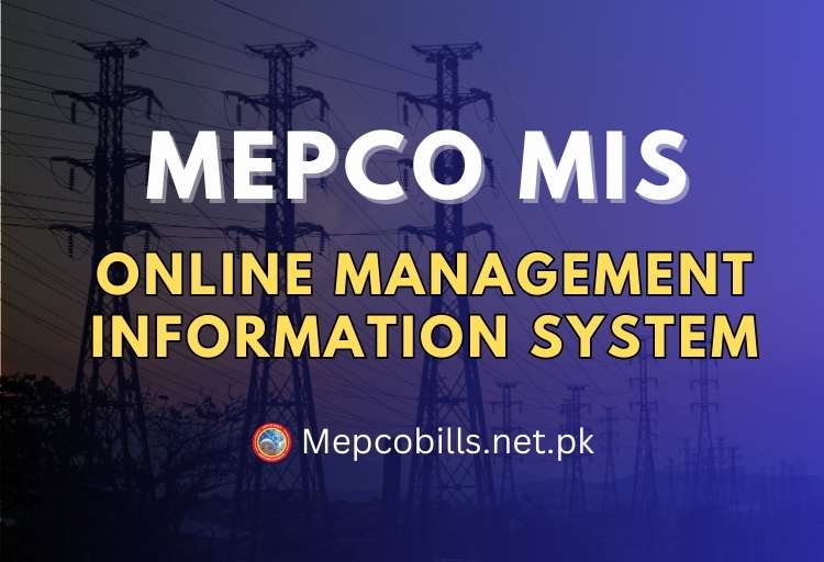 MEPCO MIS – Online Management Information System